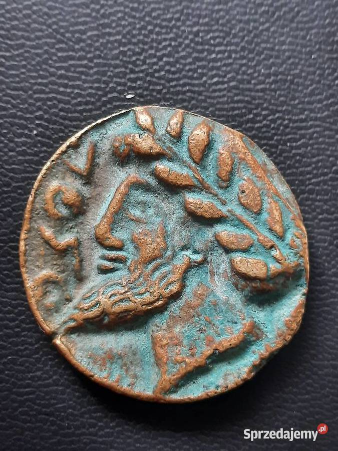 Kopia śląskie Bielsko-Biała