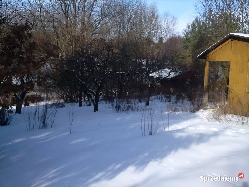 Działka ROD Bratek Dąbrowica 254m2 Ogródek