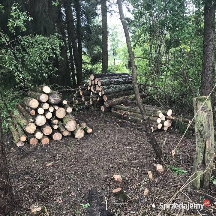 Drewno kominkowe opałowe budulec dł Jesion Dąb Zabłudów