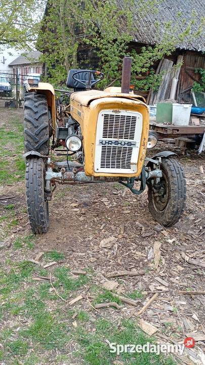 Ursus C360 Ursus mazowieckie Udrzynek