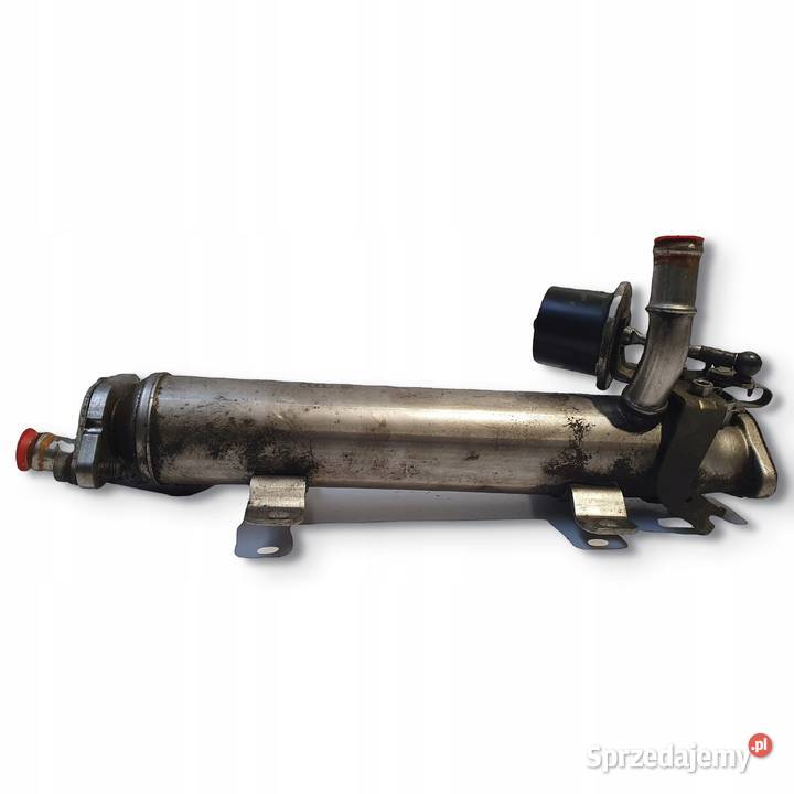 CHŁODNICA SPALIN VW Passat B6 Audi A3 8P 20 TDI Chełm