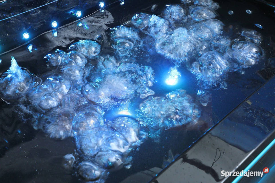 Czarna wanna z hydromasażem EBBXD871 prostokątna Grabówka