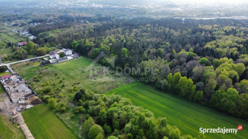 Duża działa Kielce Posłowicka