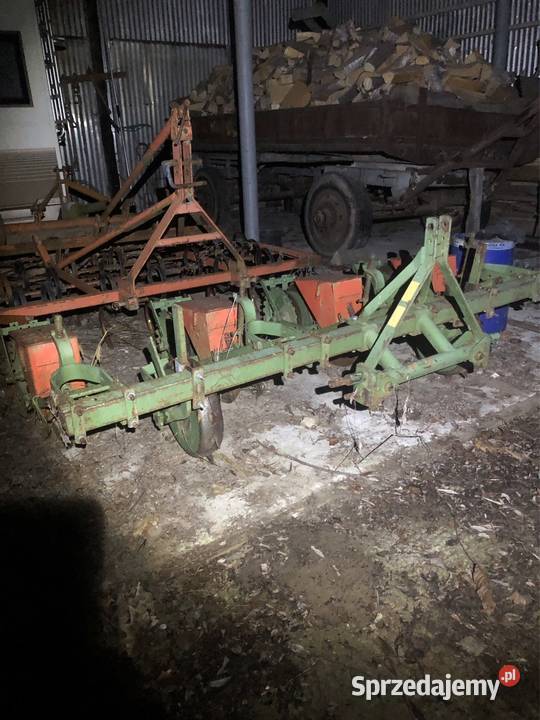 Siewnik kukurydzy lubelskie Puławy