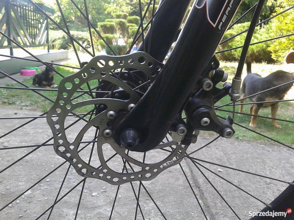 rower Torrek Hill 1100 Sprzedażzamiana Warszawa