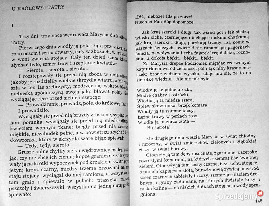 Lektury do klasy 4 szkolypodstawowej Wieslawa Pozostałe Chełm