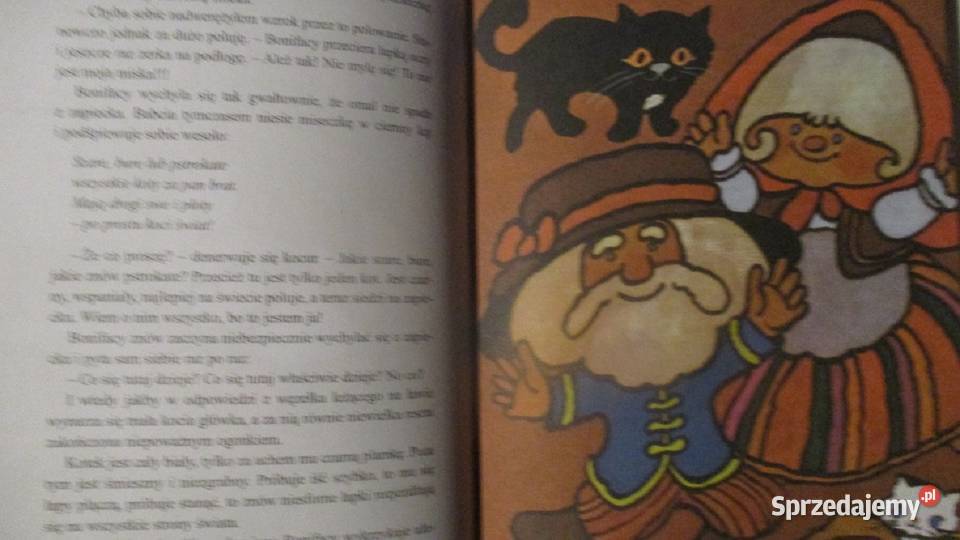 Przygody kota Filemona Brzechwa Andersen Łódź