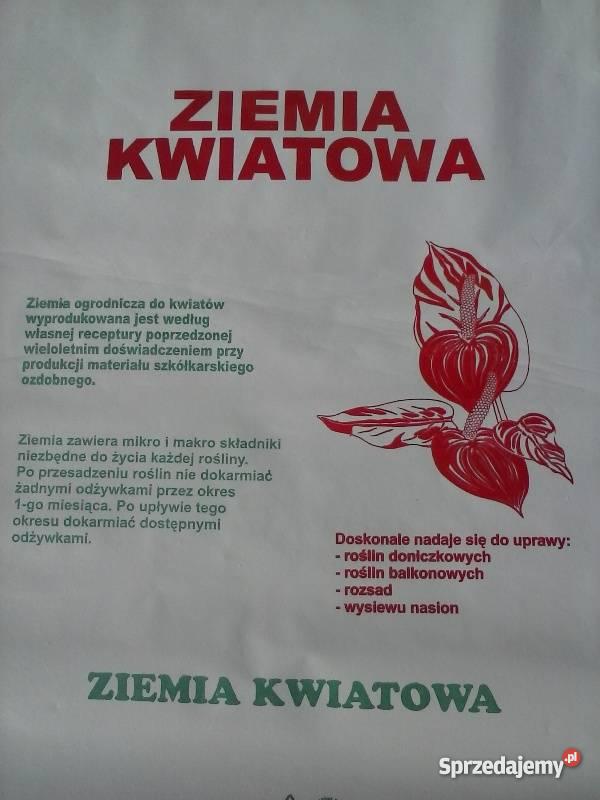 KORA SOSNOWA MAZOWIECKIE WARSZAWA GRÓJEC PODKOWA Warszawa