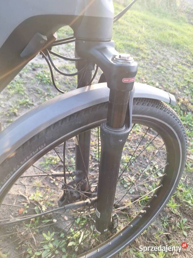 Rower elektryczny zasięg 200300 Samorządki