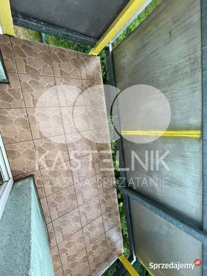 Sprzątanie gołębiach Świdnica Kastelnik mycie