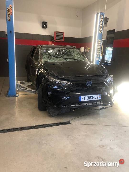 Toyota RAV4 25 Hybrid Executive 4x2 Słupca sprzedam