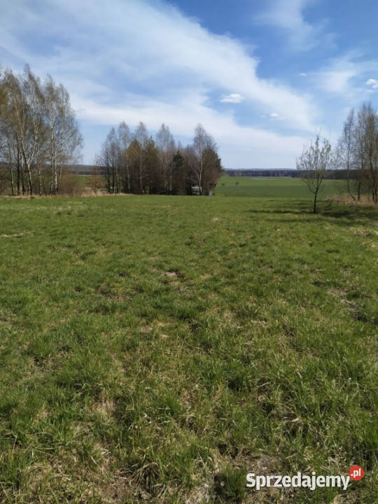 Działka budowlana 3942 m Myszków spokojna budowlana
