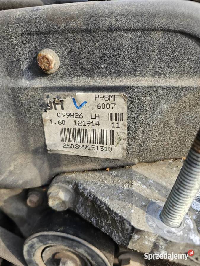 Silnik P98MF Ficus 1 Łagów