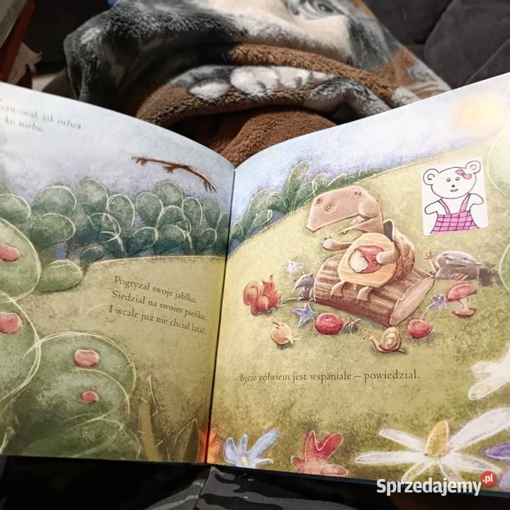 bajeczki do poduszki wielkopolskie Poznań