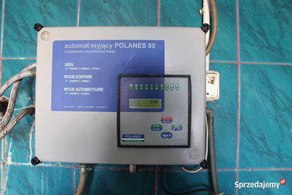 Hala udojowa rybia ość 2x5 Polanes Dziecinne
