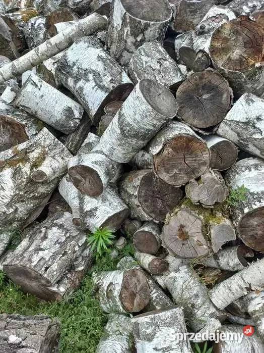 Drewno kominkowe opałowe kominka brzoza 1 4L Pozostałe Łódź