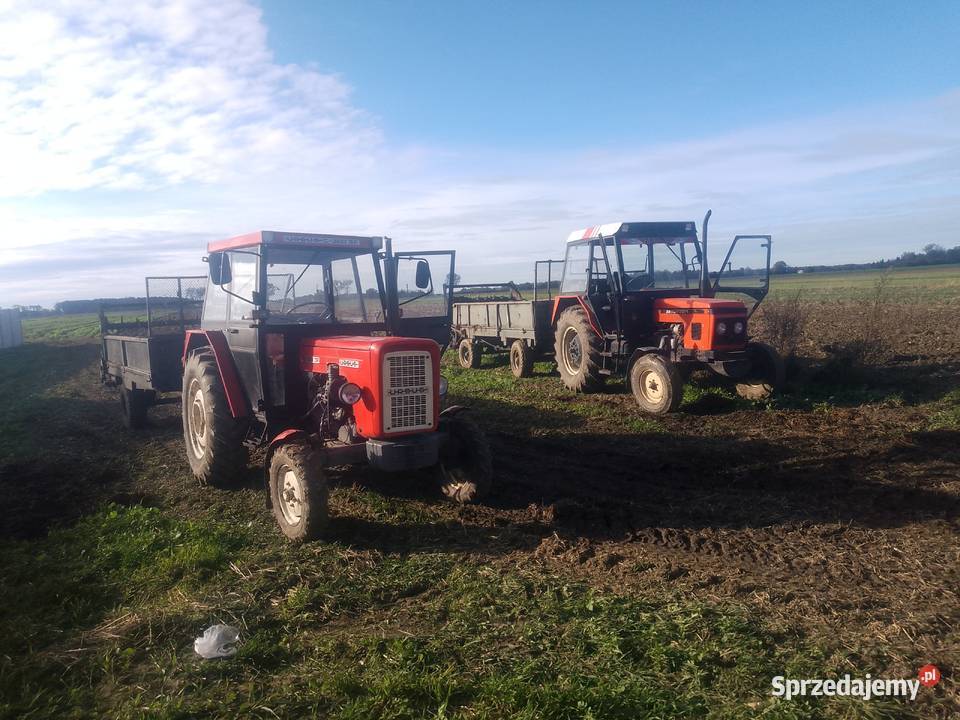 Sprzedam Zetora 7211 Kalisz