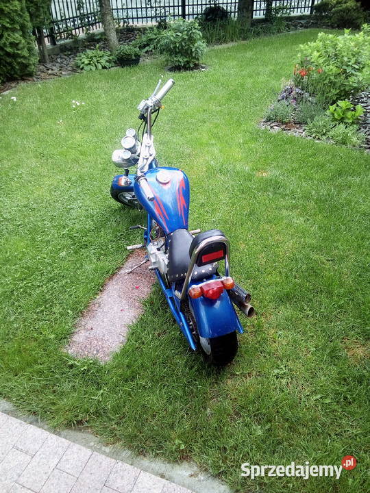 Mini chopper 49 Strzegowo
