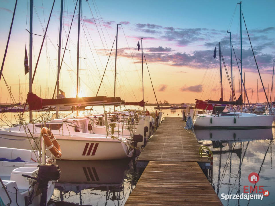 Działka 3100m2 Ogonki