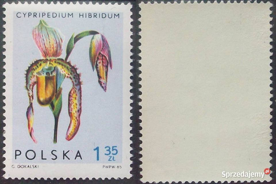 Znaczki polskie 1965 II kwartał luzaki Filatelistyka Leźnica Wielka-Osiedle