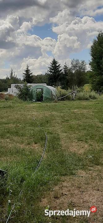 Siedlisko na spokojnej wsi duża działka z domem Wasiły-Zygny