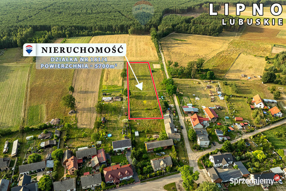 Na sprzedaż działka rolna 5700 m Lipno