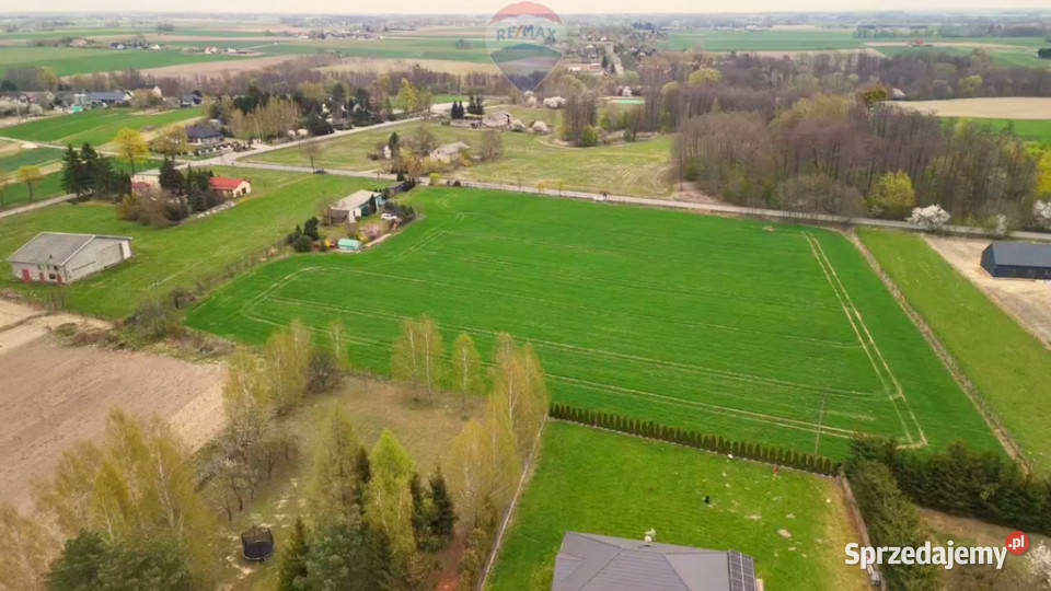 Działka 1544 m Miszewko Strzałkowskie 1054 Sprzedaż