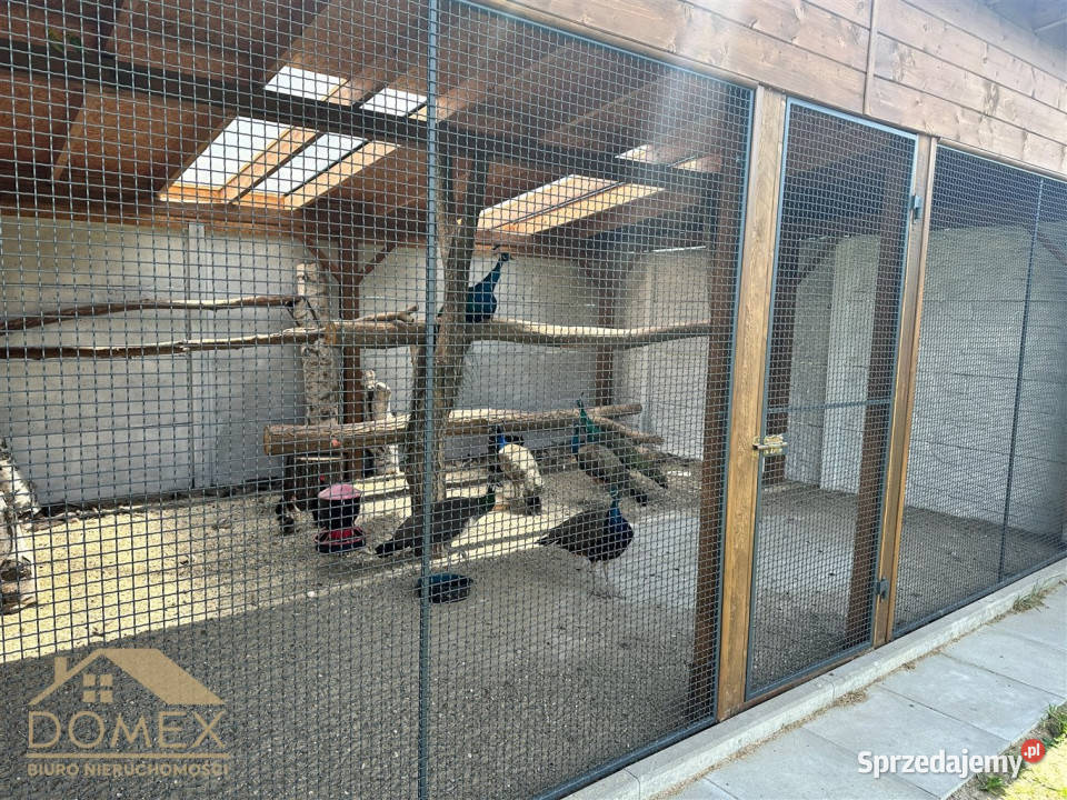 sprzedaży lokalu Gorzyce 180m2