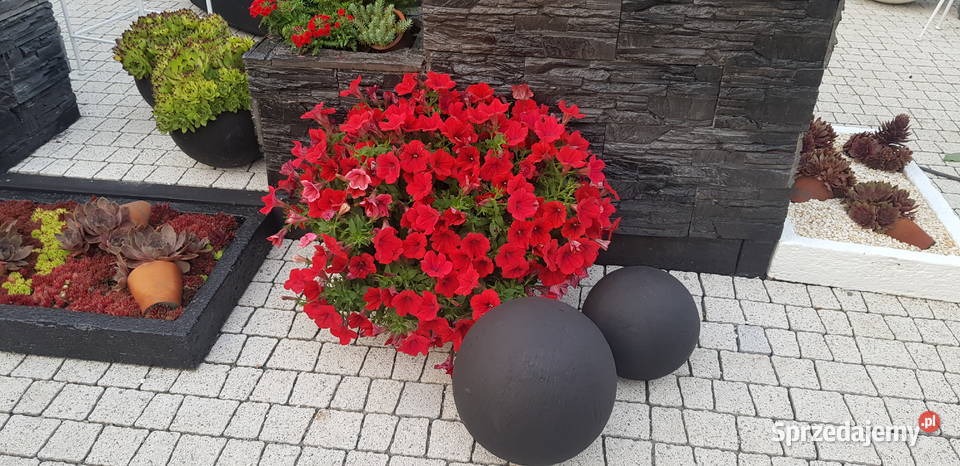 Ogrodowe ozdoby Dekoracje ogrodowe Kule betonowe Jaworze