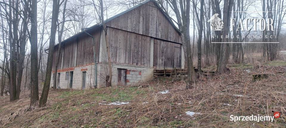 Sędziszowa działka budowlanorolna 08 ha małopolskie sprzedam
