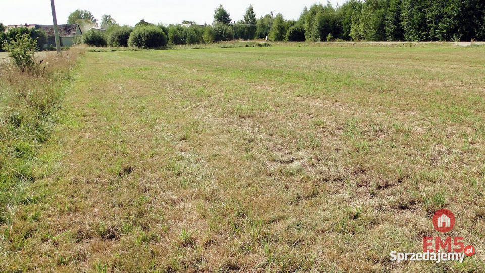 sprzedaży gruntu 1500m2 Hołówki Duże podlaskie