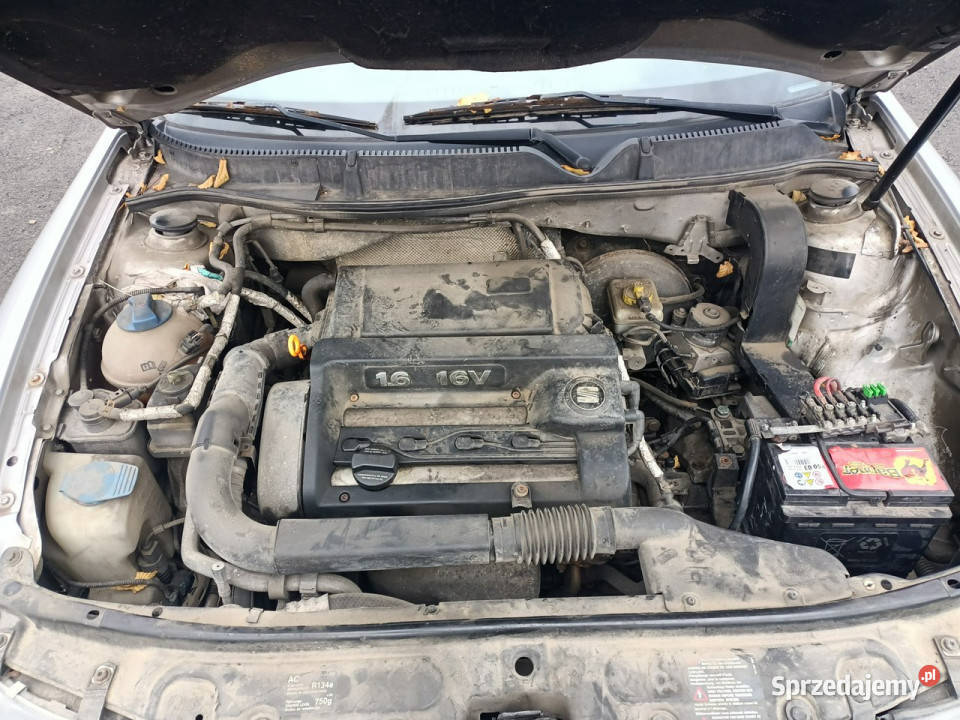 Seat Leon Seat Leon 16 01r I 19992005 Tarnów