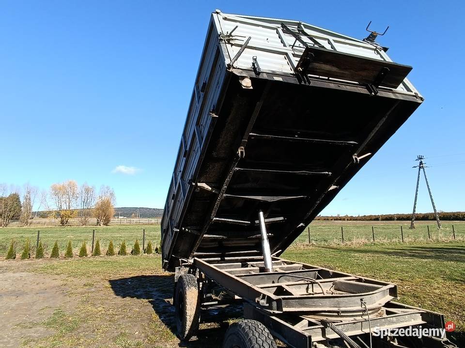 Przyczepa sanok d47 nieuszkodzony Piórków sprzedam