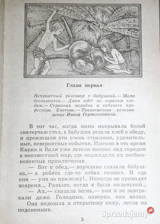 Niezwykłe przygody Karika i Valiego Jan Larri Chełm