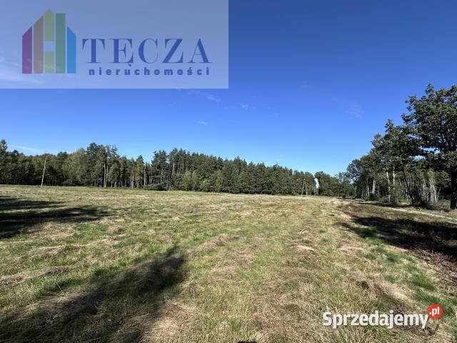 Grunt Borucza 1800m2 mazowieckie