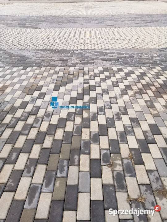 Działka utwardzona do wynajęcia śląskie