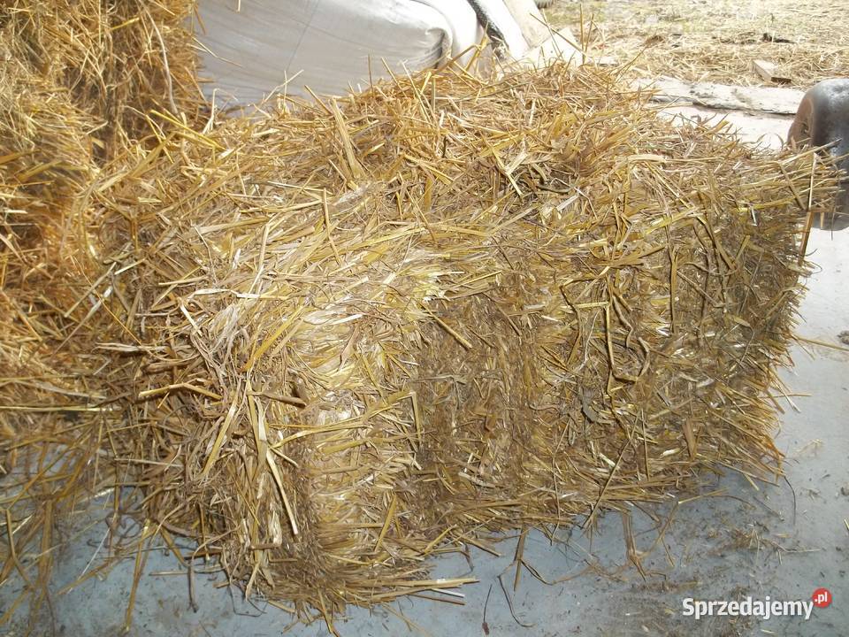 Słoma kostka bele Goczałkowice-Zdrój sprzedam
