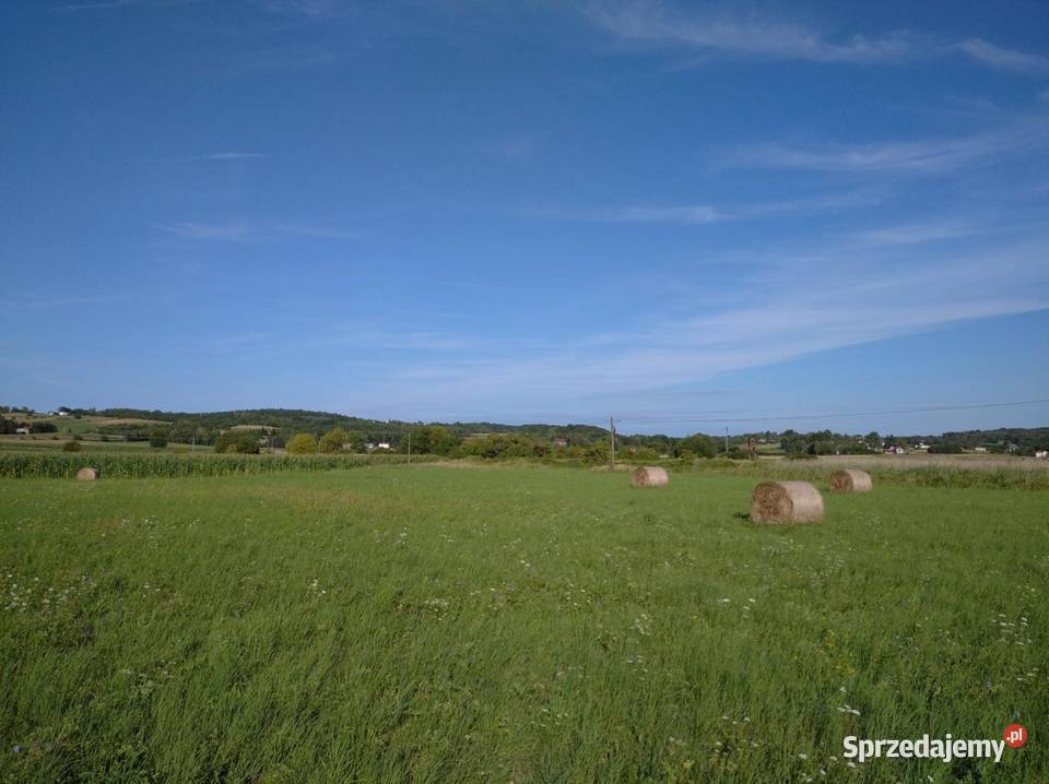 Dzialka rolna 640 ar 6zł/m2 Sprzedaż Jasło