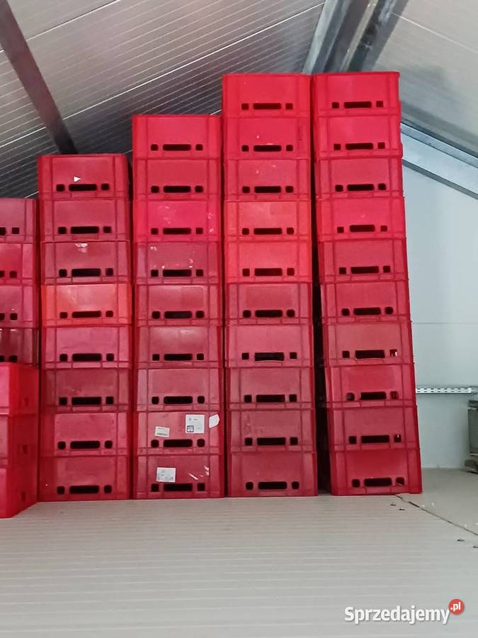 Pojemniki euro czerwony Zambrów