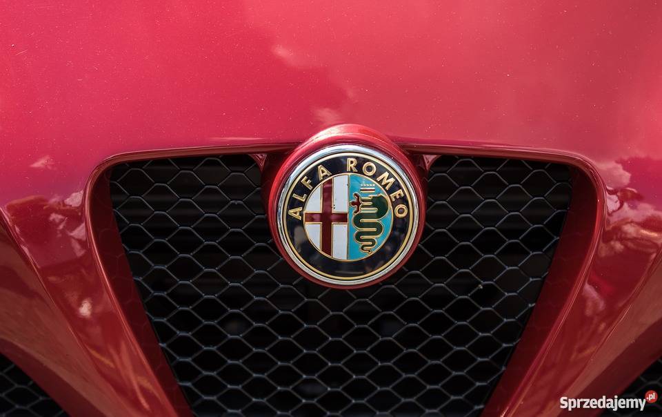 Vin alfa romeo