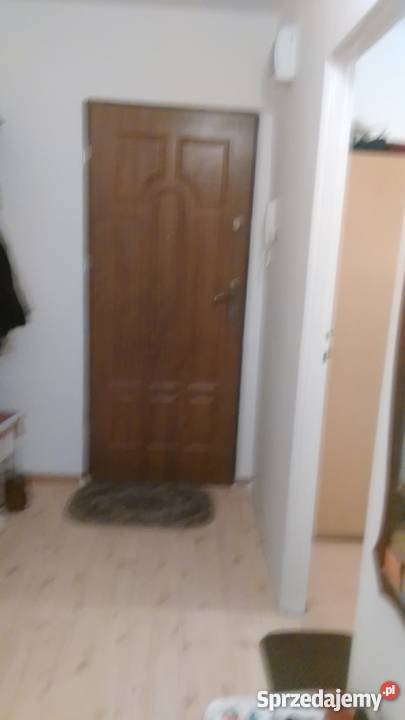 sprzedam mieszkanie