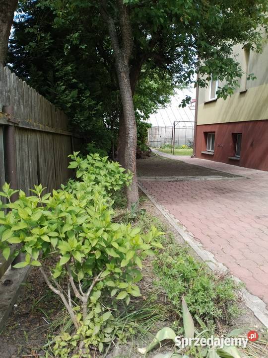 Sprzedam przytulny dom 120m2 Domy Białystok sprzedam