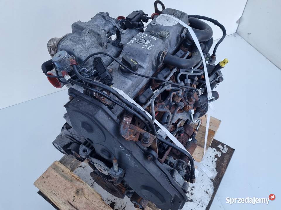 SILNIK KOMPLET Ford Transit Connect 18 TDCI 75 Silniki kompletne Chełm