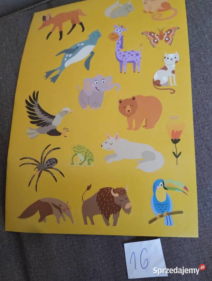 Naklejki zwierzęta Siemiatycze