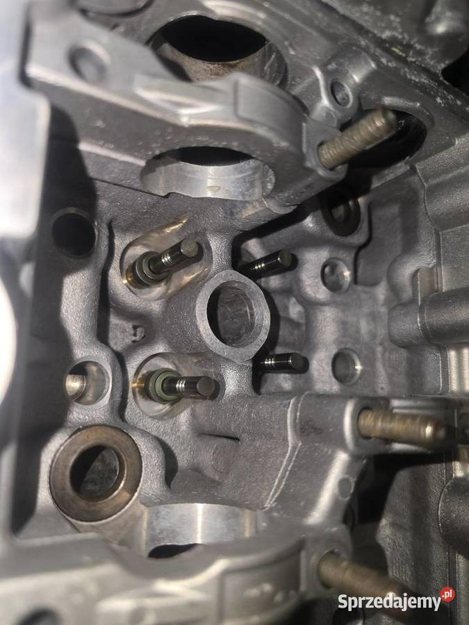 Głowica lewa 30tdi ASB 059 3AL ZREGENEROWANA wielkopolskie Lotyń