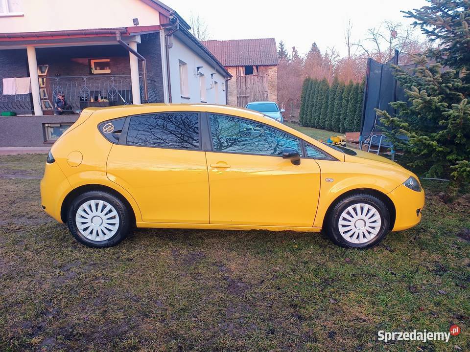 Piękny leon świętokrzyskie Chmielnik