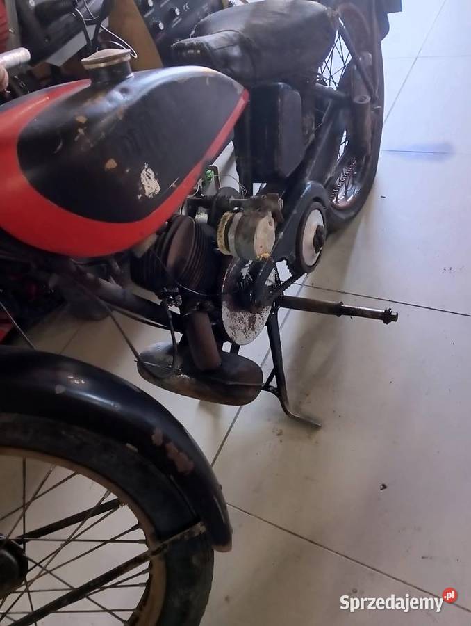 Sprzedam terrot lo 1934 Gostycyn