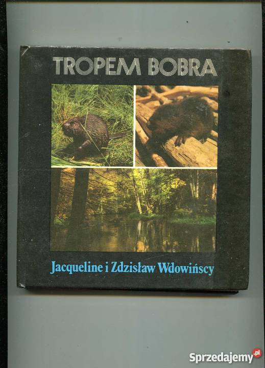 Tropem bobra Szczecin