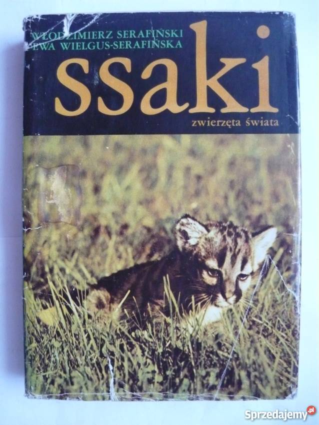 SSAKI ZWIERZĘTA ŚWIATA SERAFIŃSKI