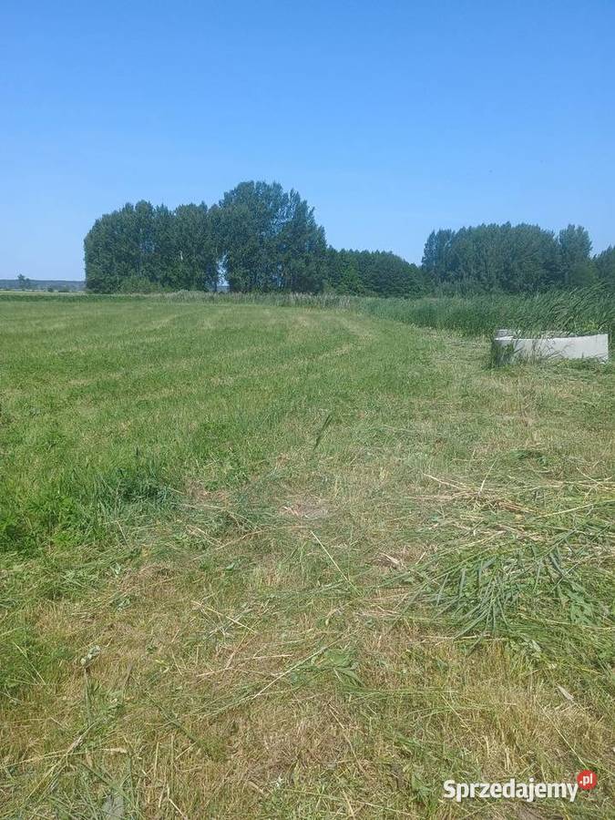 działka rekreacyjna prąd Pińczów